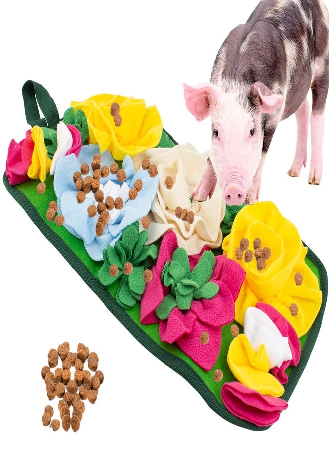 OOXYG Pig Foraging Mat, Interactive Mini Pigs Enrichment Toys, Treat Mat Toy for Mini Pigs and Farm Puzzle Pad, Hanging Chew Snuffle Pad Bed Enrichment Toy for Pigs to Play with for Pigs - Image 1